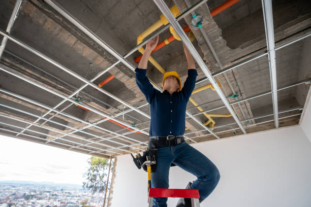 Best Plumbing Inspection Services  in Nett, MO