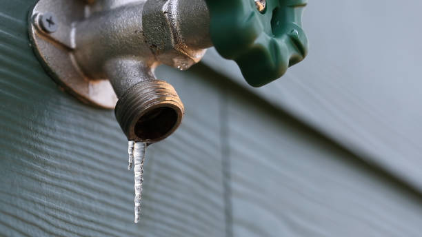 Best Local Plumber Services  in Nett, MO